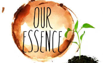 Our Essence