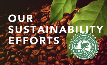 Our Sustainability Efforts